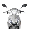 Chetna Metallic Grey -5